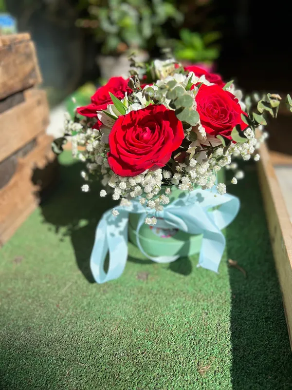 Diseño 21 - Sombrerera